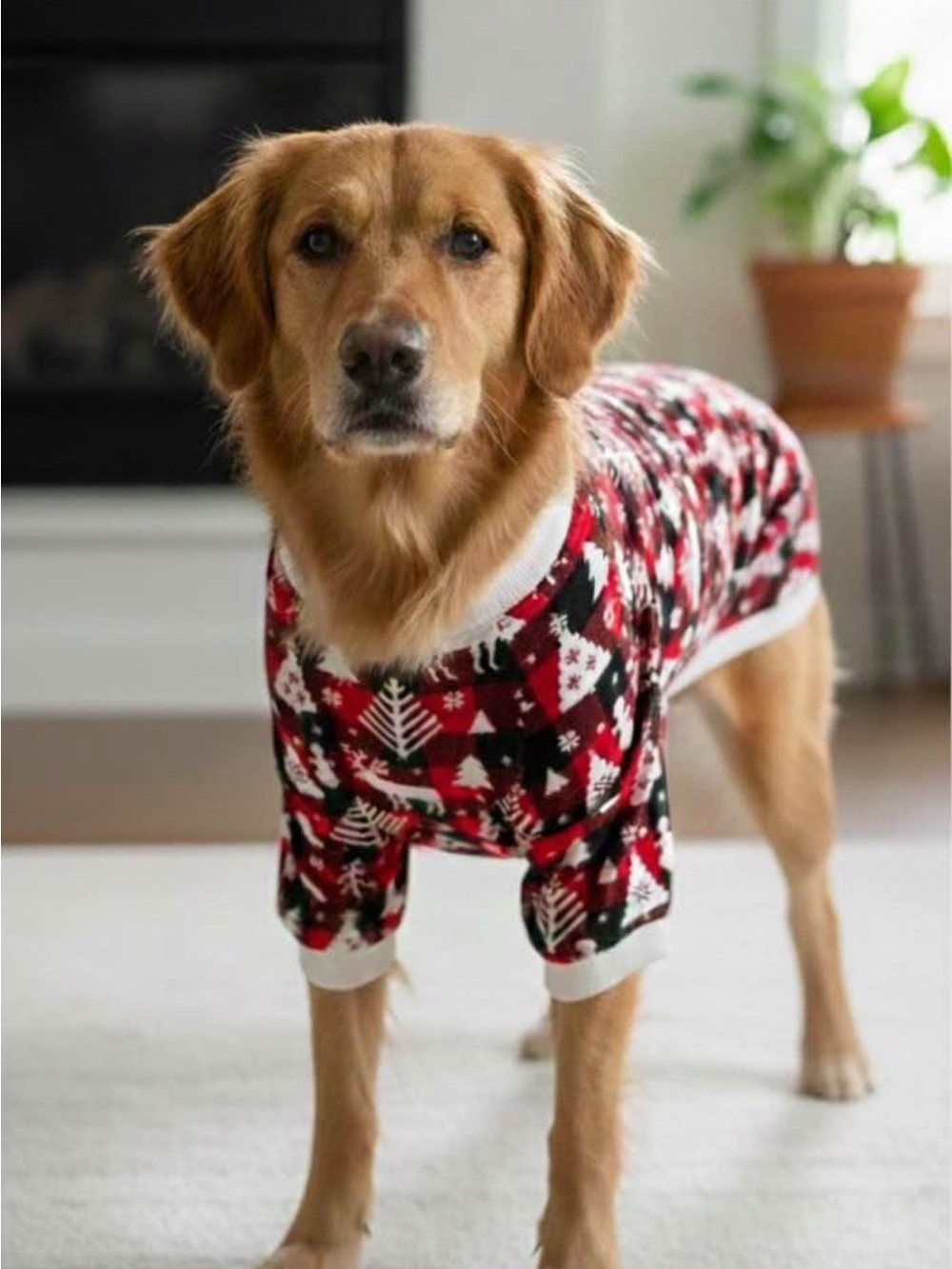 Dogs Red Black White Holiday Christmas Plaid Pajama Top